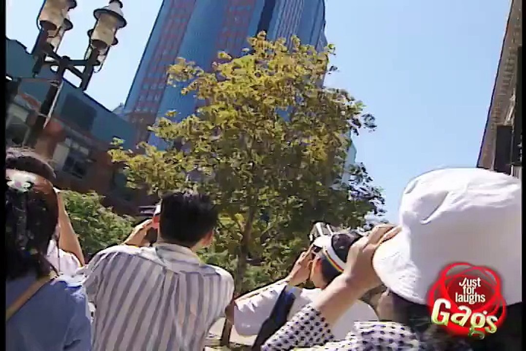 Crazy Tourists Joke