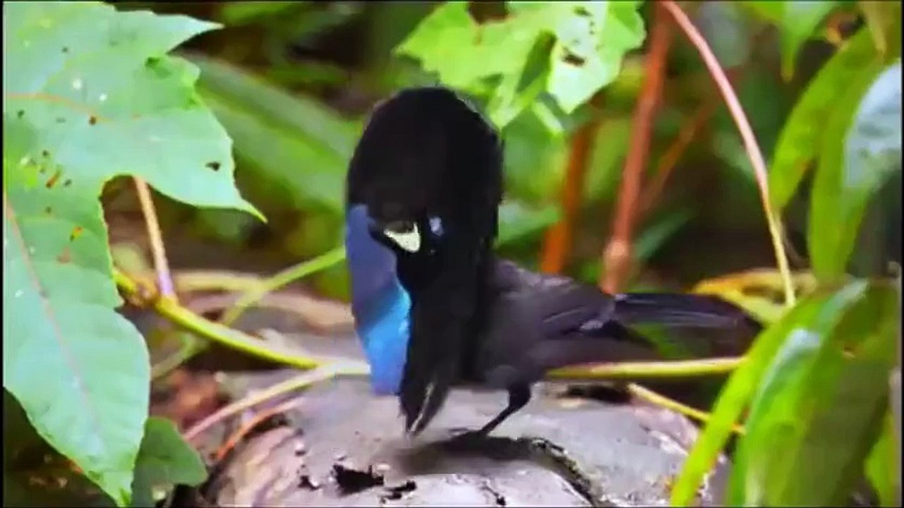 Wonderful World