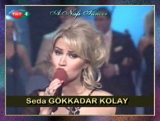 Seda GÖKKADAR KOLAY-Dilek Taşı