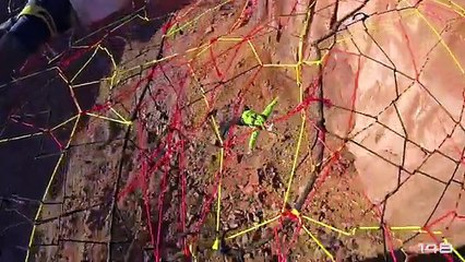 Best of Web 2015: les vidéos les plus WTF de l'année