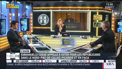 Régionales 2015: le parti EELV est en difficulté - 08/12