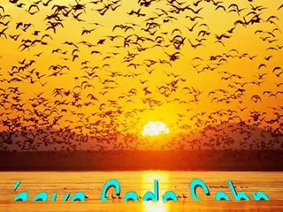 PainFull Sad Song (( Paaven na Judaiyan by shahid jutt sialkot