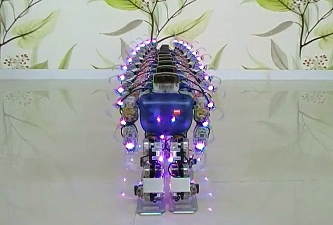 千手觀音(機器人版)