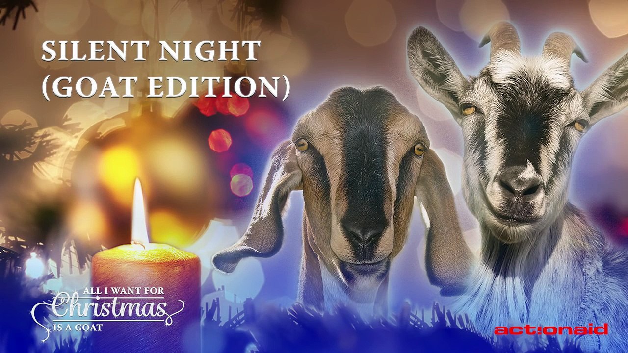 Des chèvres chantent la chanson de Noël Douce Nuit Sainte Nuit