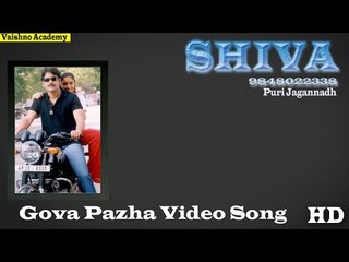 Gova Pazha Video Song - Shiva 9848022338 | Nagarjuna | Asin | MassAudiosandVideos