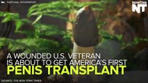 Surgeons Set To Perform America's First Ever Penis Transplant