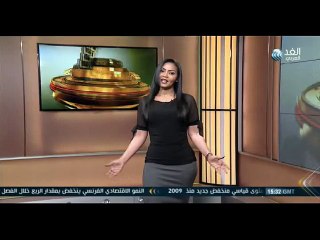 النشرة الفنية