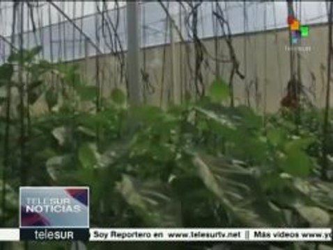 Venezuela: movimientos sociales llaman a la reflexión social