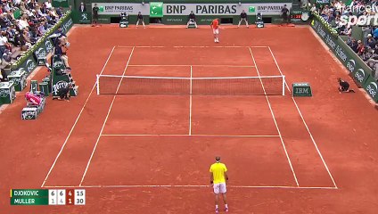 Novak Djokovic perd un point bêtement
