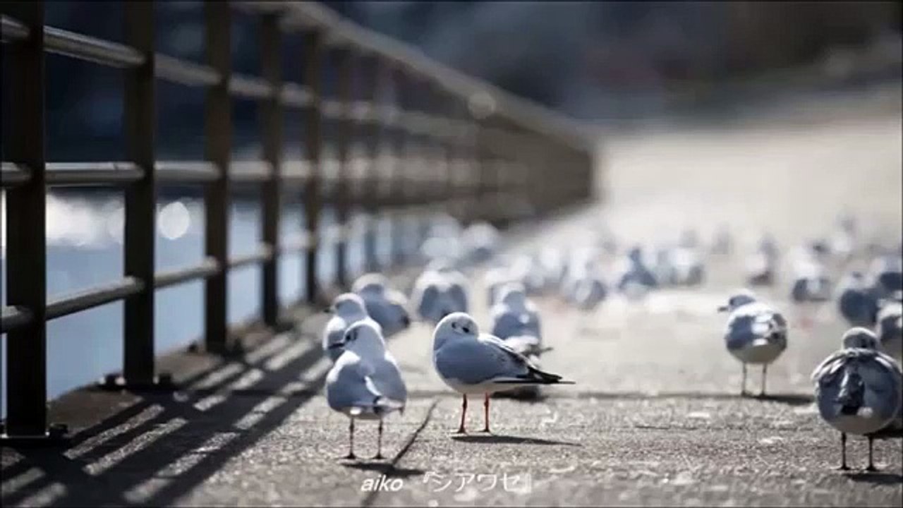 aiko（アイコ）メドレー 作業用BGM