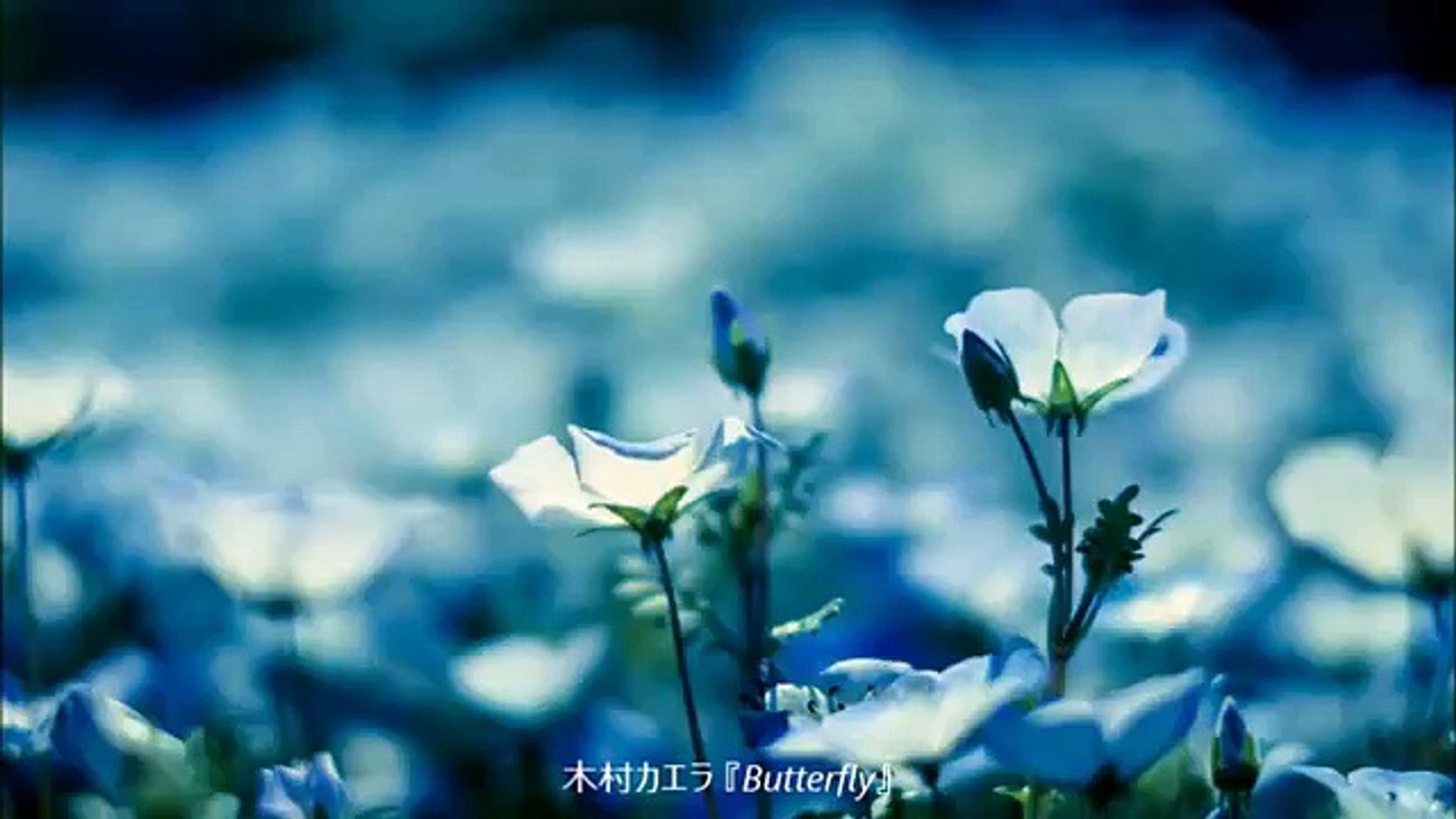 木村カエラ Butterfly Dailymotion Video