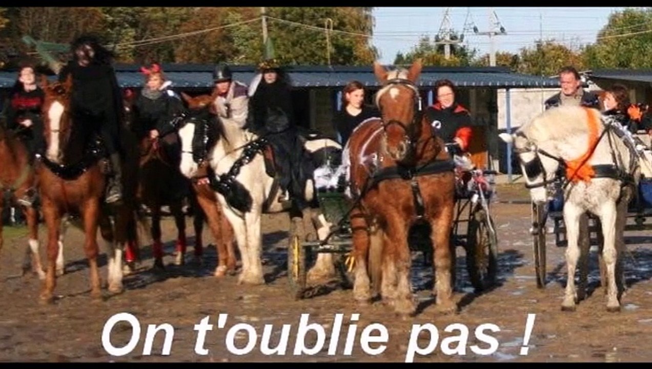 Iosis; des bons souvenirs à garder en mémoire