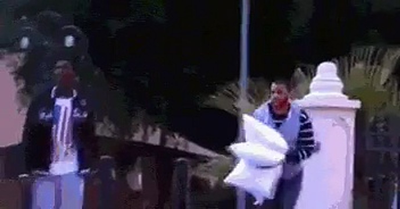 Very Funny Fight Bundle of Laugh Must Watch