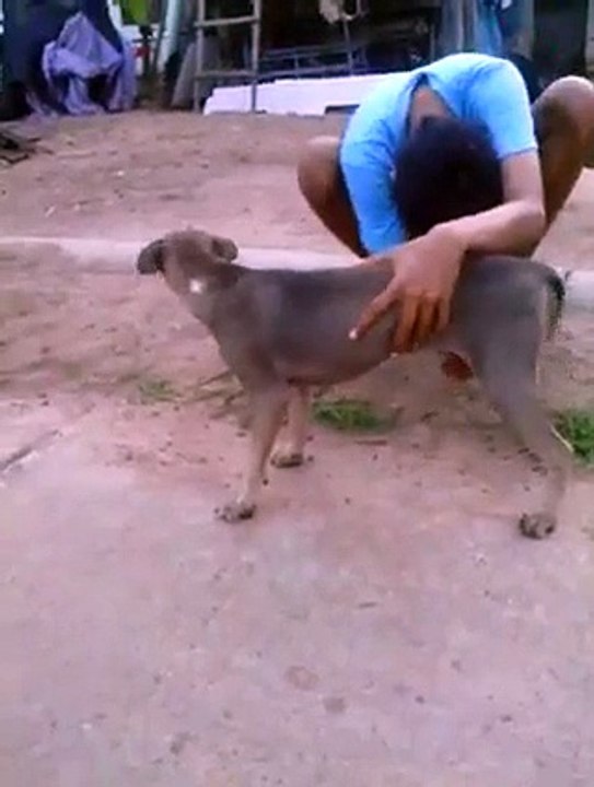 funny video