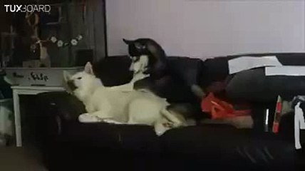 Quand on me leve le matin^^