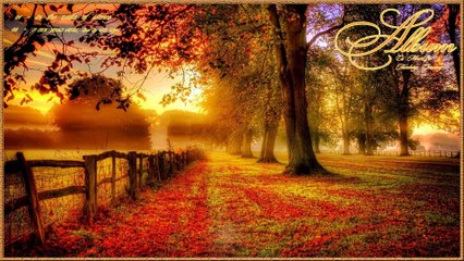 I AM YOUR SOUL - Poem By S.D. Clifford