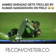 Sangakkara ROCKS and Ahmed Shehzad SHOCKS - Thug Life HaHaHa