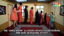 illusions