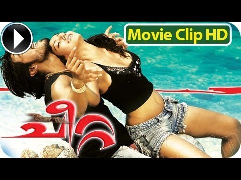 Cheetta - Malayalam Full Movie 2012 - Climax Scene 7 Ram Charan Teja With Neha Sharma [HD]