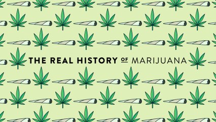The Real History of Illegal Drugs: Marijuana