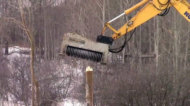 Пожиратель деревьев! Чудо техника в России !