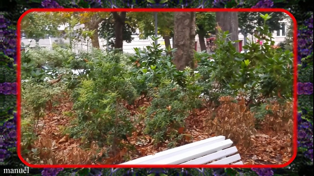 PARQUE DE SAN LAZARO HD