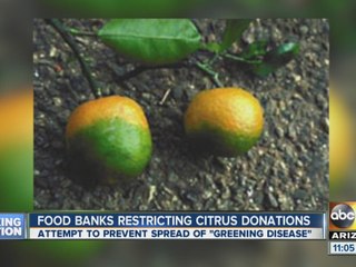 Food banks restricting citrus donations