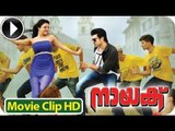 Naayak - Malayalam Full Movie 2013 - Romantic Scene 9 - Ram Charan Teja With Kajal Aggarwal [HD]