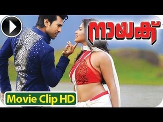 Naayak - Malayalam Full Movie 2013 - Romantic Scene 8 - Ram Charan Teja With Amala Paul [HD]