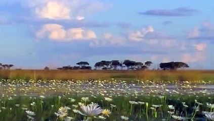 "Under The Influence" Cross Over