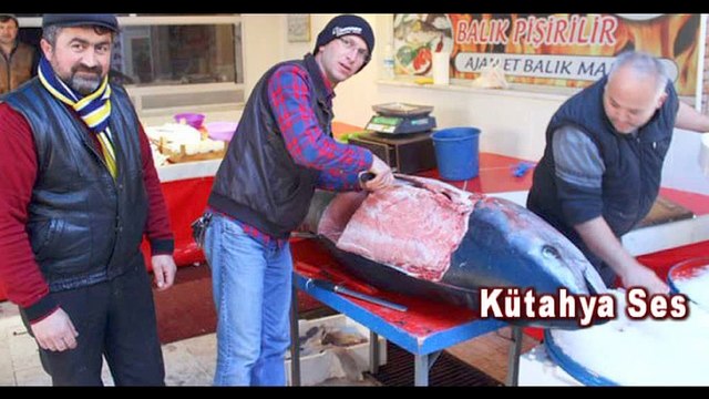 KÜTAHYA BÖYLE BİR BALIĞI HİÇ GÖRMEDİ,BU BALIĞI GÖREN ŞAŞIRIYOR,GÖRENLER GÖRDÜĞÜNE İNANAMIYOR !!!