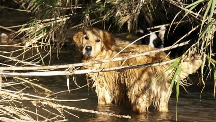 _Bere acqua di mare e Hamer_ Libro