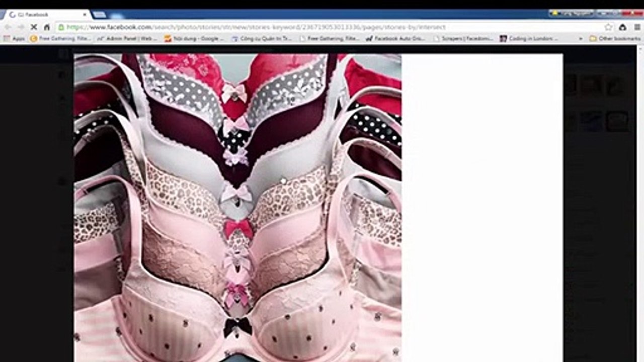 Facebook Graph Search - Facebook Data Scraper - Stories Posts Searching