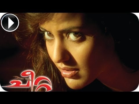 Cheetah | Malayalam Movie 2012 | Romantic Scene | Ram Charan With Neha Sharma [HD]