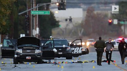 Probe into how, when shooters became radicalized