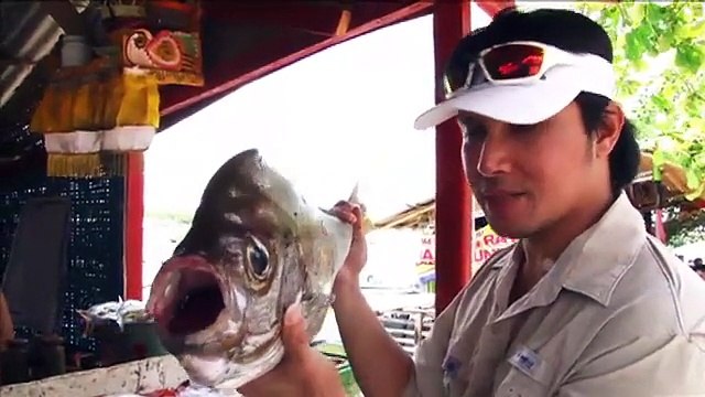 mancing mania-ikan janki di bali
