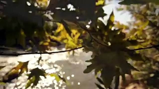 DENA - Dena Mwana - Se Yo _