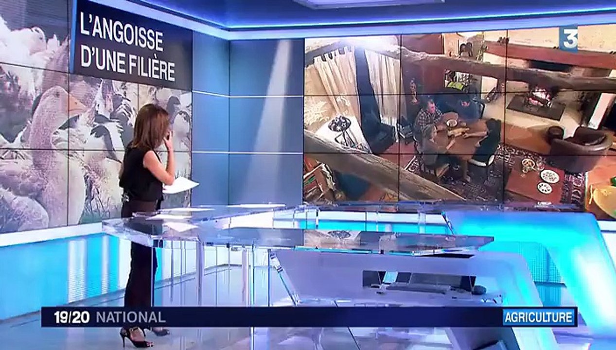 Grippe aviaire : les éleveurs inquiets