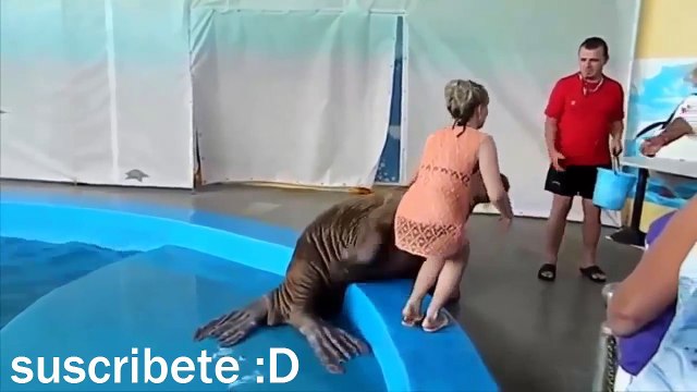 Recopilacion videos chistosos caidas risa bebes sustos fails borrachos