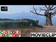 Crocodile Lovestory | Malayalam Movie 2013 | Crocodile Attacking Video