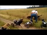 FUNNIEST CLIPS OF THE WEEK - FUNNY GIFS AND VINES