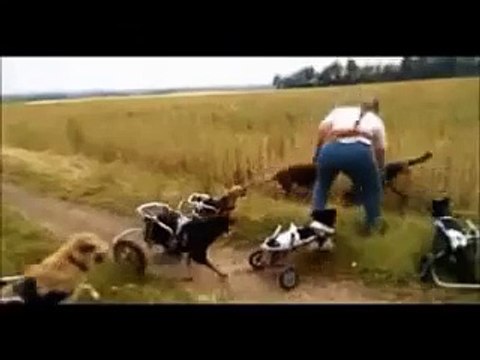 FUNNIEST CLIPS OF THE WEEK - FUNNY GIFS AND VINES
