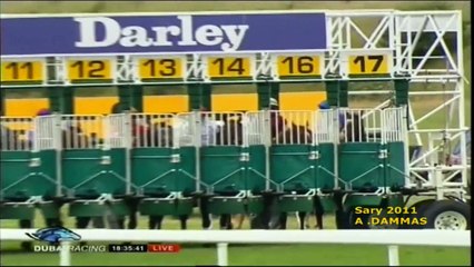 DREAM AHEAD - 2011 Darley July Cup G1