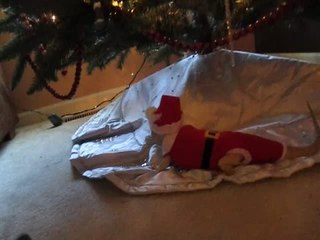 Bearded Dragon models homemade Santa Claus outfit