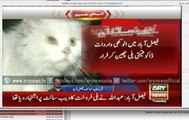 Robbers snatch cat from owner in Faisalabad