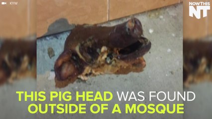 Pig Head Thrown At Mosque In Anti-Muslim Attack