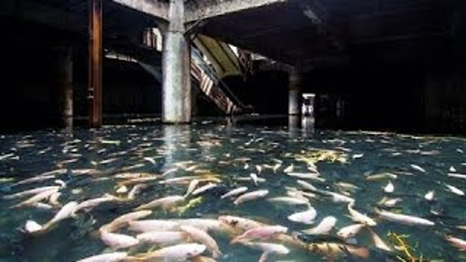 Civilização Inundada (Dublado) - Documentário Discovery Civilization