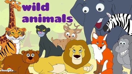 Learn About Wild Animals - Preschool Activity