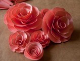 Quilling Made Easy # How to make Beautiful Paper rose using Paper -Paper art_16