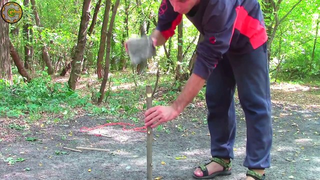 5 pièges pour chasser et survivre - Tuto nature